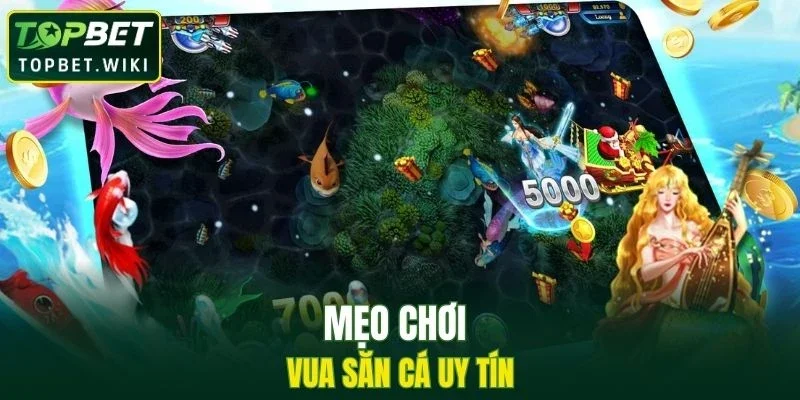 Mẹo chơi vua săn cá uy tín