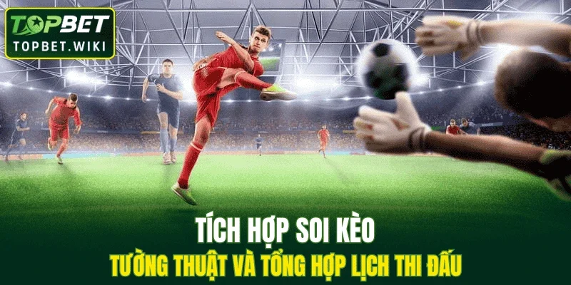 Tích hợp soi kèo, tường thuật và tổng hợp lịch thi đấu